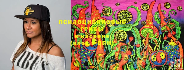 альфа пвп Белокуриха