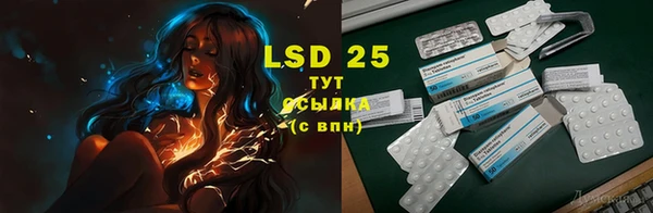 спиды Богданович