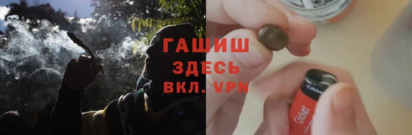 мдпв Богородицк