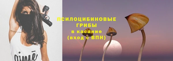 гашик Богородск