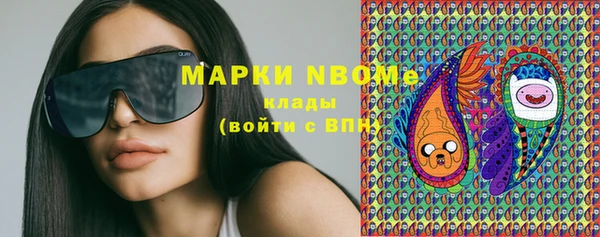 мдпв Богородицк