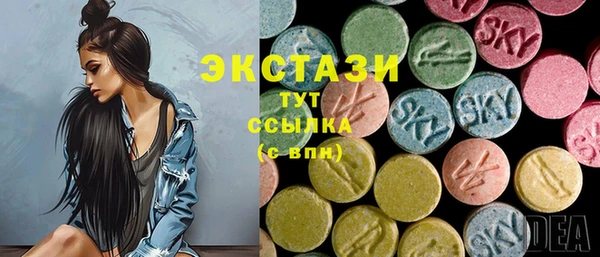 гашик Богородск